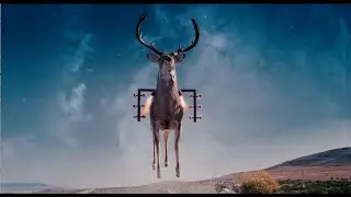 Yeast Lords Short compilation, from 'Gentlemen Broncos' (2009)