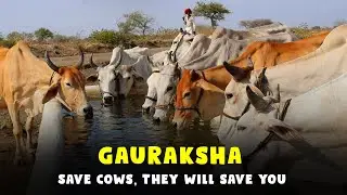Shree Krishnayan Desi Gauraksha - Documentary