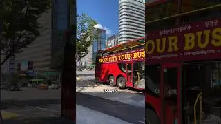 The easiest way to see most of Seoul in one day? This is it! 🚌 Hop on the Seoul City Bus Tour