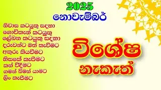 විෂේශ නැකැත් නොවැම්බර් මාසය 2025 | special auspicious times in November 2025 | nakath novambar