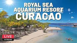 The Royal Sea Aquarium Resort | Curacao 🌴☀️ LIVE CAM 4K