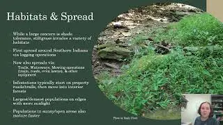 Japanese Stiltgrass Management