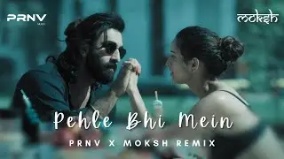 ANIMAL - Pehle Bhi Main (Moksh x PRNV Remix) | Ranbir Kapoor Tripti Dimri | Sandeep | Vishal Mishra