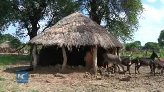 Cyclone Dineo induced floods hit Zimbabwe
