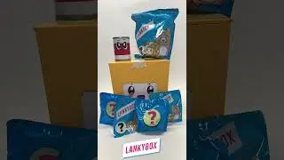 LankyBox Toys - Giant Mystery Boxy Unboxing!