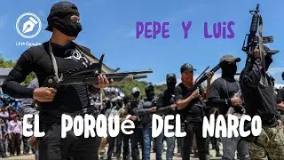 El porqué del narco
