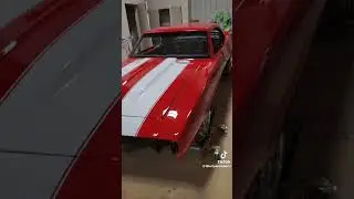 Professional Auto Body and Code reader, Painting and dent repair, buffing and polish & mechanic work