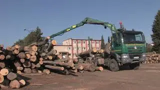 Reorganizácia a nová obchodná politika a stratégia štátneho podniku LESY Slovenskej republiky