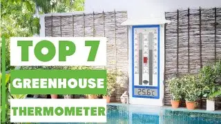 Top 7 Greenhouse Thermometers for Every Grower