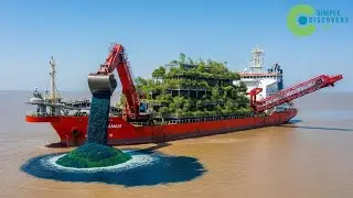 Abu Dhabi PLANTA &Aacute;RVORES GIGANTES no DESERTO sob o MAR &ndash; DEPOIS de 1 ANO SURPREENDE CIENTISTAS