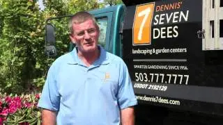 Dennis'  7 Dees 
