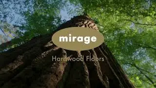 2025 Hardwood Flooring Collections | Discover Timeless Elegance with Mirage Floors