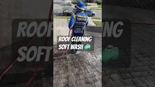 Roof Cleaning Soft Wash Transformation in Bradenton, FL! #Shorts #satisfying