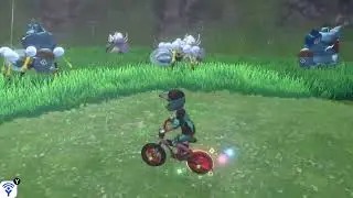 Finding a ditto 