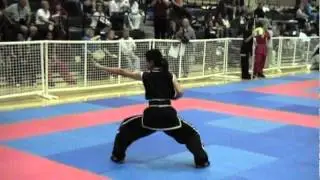 Jow Ga Form - Small Tiger 周家小虎拳