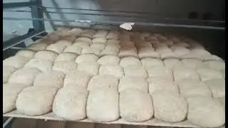 مشروع جميع أنواع الخبز البلدي