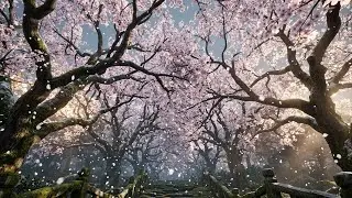 Cherry Blossom Snowfall: Serene Music for Calming the Mind in Nature's Embrace🌸 🎵❄️