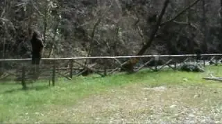 A.R.S. fiume Tenna - Parco Fluviale Acqua Gallo