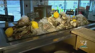 Scientists sample 156 Florida oysters, find dangerous 