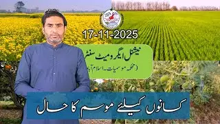Прогноз погоды для фермеров в Пакистане | 17 ноября 2025 г. | PMD Agriculture Weather Update