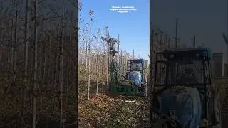 Pruning Machine For Orchards PRO-CUT 304 || Made By PRO-CNC Poland || #orchards #pruning #shorts