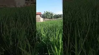Day6 #remix #music #mashup #dj #fyp #shortvideo
