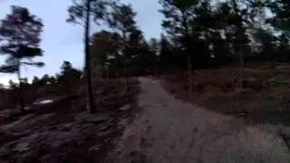 2014 Running Near Falcon, CO