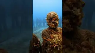 Freediving the World&rsquo;s First Underwater Sculpture Park (Grenada 🇬🇩)
