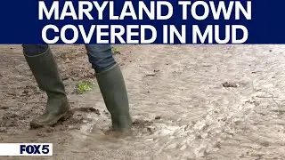 Flash flooding prompts school evacuation in western Maryland