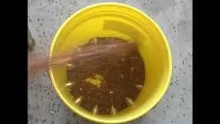 Many Ports 5 gal