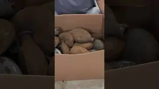 Излишки военного имущества времён Первой мировой войны всё ещё существуют. Взгляните на наши неме...