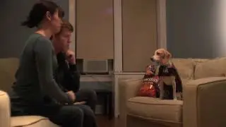 Doritos 2011-2012 Crash the Super Bowl: 