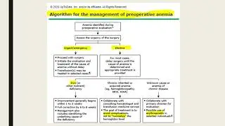 Patient Blood Management Lecture