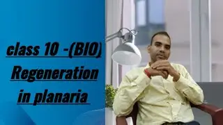 Regeneration in Planaria | Amazing Power of Regeneration | Biology Class 10 🔭🧪