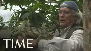 Extinction Close-Up: Madagascar | TIME