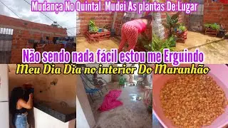 NÃO SENDO NADA FÁCIL  ESTOU ME ERGUINDO ❤️‍🩹 DIA MELHORES VIRÃO 👐|MUDANÇA NO QUINTAL NAS PLANTAS +