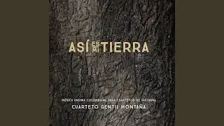 Asi es mi tierra (Bambuco)