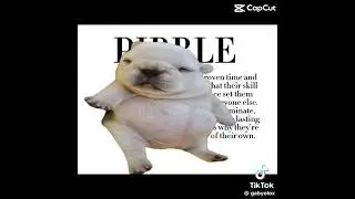 Pebble3
