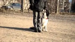 MOV04006