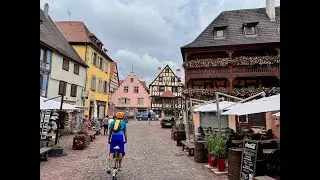 A Taste of Alsace by bike