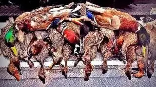 The Arkansas Duck Hunters