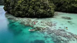 Kayaking in the Lagoons of Palau
