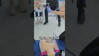 CPR: The Lifesaver's Guide