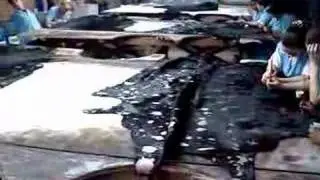 Debandada Premium cowhides
