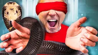Can I Handle Snakes Blind Folded?