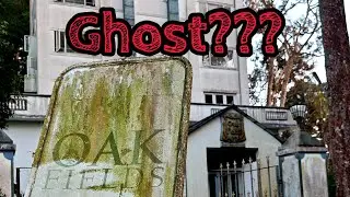 Oak fields munnar| Di&eacute;s Ira&eacute; model ghost|haunted|real|kerala ghost hunting|horror|abandoned