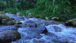 Relaxing water sounds, White noise for sleeping, Meditation, Healing sounds, ASMR