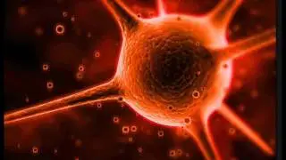 BORN A SLAVE - virus  (ezdrummer + free vst)