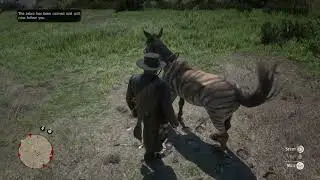Red Dead Redemption 2 | Stranger Mission | Fake Zebra | Donkey