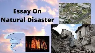 10 lines On Natural Disaster | Natural Disasters Essay for Students & Children |